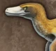 Velociraptor