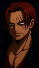 Shanks