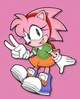 Classic Amy Rose