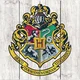 Hogwarts Next Gen
