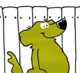 Roobarb