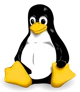 Linux Error Logo
