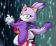 Blaze the cat
