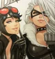 Black cat x Catwoman