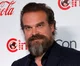 David Harbour