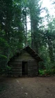Maple Hollow Cabin