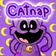 Catnap