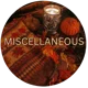 06 - Miscellaneous