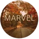02 - Marvel 