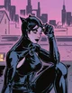 Selina kyle-catwomen