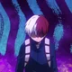 Shouto Todoroki