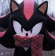 SHADOW T HEDGEHOG 