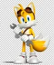 Tails the Fox