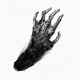 Monkeys Paw