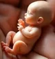 MiniatureNewbornBaby