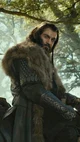 Thorin Oakenshield 