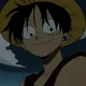 1P Dormmate Luffy