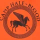 Camp half-blood