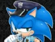 Police Sonic