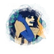 003 ENA
