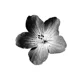 02 - Banner