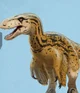Utahraptor