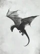 BL- Dragon academy 