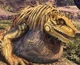 Great jagras