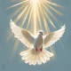 Peace at War