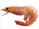 Shrimp