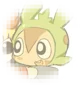 Chespin 