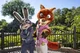 Nick y Judy