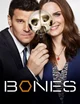Bones
