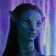 Neytirii