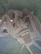 A dragon
