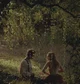 Magic and Moonlight