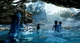 Avatar - Loak