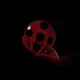 Ladybug - Br 