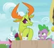 Thorax - MLP