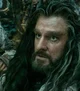 Thorin Oakenshield