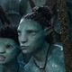 Aonung and rotxo