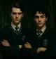 The Slytherin Boys