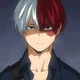 Shoto todoroki 