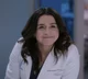 Amelia Shepherd 