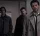 Team Free Will