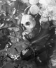 ghost - ashfall