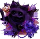 Catnap