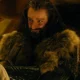 Thorin Oakenshield 