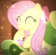 Fluttershy