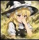 Touhou flower marisa